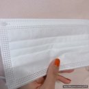 제이에이치덴탈 | 국내생산 마스크 + 착용감이 좋은 비말차단 덴탈 스누피마스크