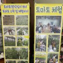 오길농장 이미지