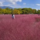 주소 맞은편 공원 이미지