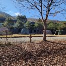 해여림 빌리지 | 해여림빌리지 캠핑장 B3 후기 가을 겨울 중간