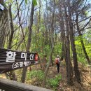 할미산 Daum카페