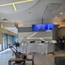 메트로동물병원 | 인천동물병원추천 소래포구 소래동물병원 인천논현점에서 강아지 쿠싱검사 8시간 후기