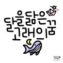 상업용 9 이미지