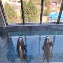 아마도풀빌라 이미지