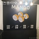 망고스튜디오