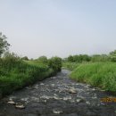 청미천 3 이미지