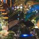 카페포레스트 이미지