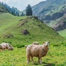 수문목장 이미지