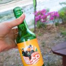 동화카라반 이미지