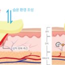 위드연의원 이미지