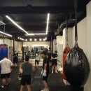 CAVALLO BOXING GYM(까발로 복싱짐) | [공지] 대치동복싱 Team Training(팀 트레이닝)