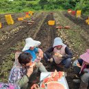 홍지농장 이미지