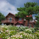 타샤의언덕 | [평창/카페] 강원도 대관령 평창 분위기 좋은 카페 추천타샤의언덕 내돈내산 후기(메뉴/주차/시간)