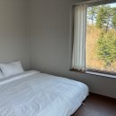 연화도감 이미지