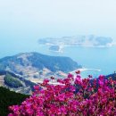 대금산진달래길(등산) 이미지