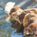 영롱농장 이미지