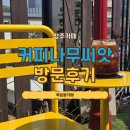 커피나무씨앗 - 논산시 부창로82번길 14 | 청주 죽림동 부모님과 함께 가기 좋은 카페 모시고 다녀온 커피숍 추천