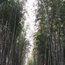 프라하게스트하우스텔 이미지