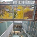 이진아도서관 이미지