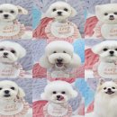 딥잉 산본점 이미지