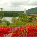 요산공원 이미지