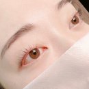 혜이뷰티 - 금천구 시흥대로73길 67 | 금천구청 속눈썹펌 지속력 좋은 뷰티샵 추천 @ 혜이뷰티 후기