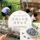 지산오리농장 | 동탄 근교 아이와 가볼만한 용인 포레스트벨 수확부터 먹이체험 가능