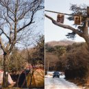 장흥농장 이미지