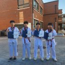 현대석사태권도 이미지