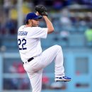 그린슈퍼(에이스) 이미지