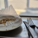 마론애견 이미지