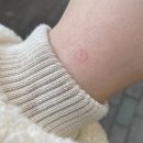 경기도 수원시 팔달구 권광로260번길 이미지