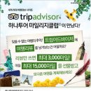 트립어드바이저