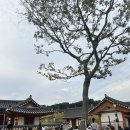 둔산중로-38 | [일상] 뜨거운 여름밤은 가고 남은 건 볼품없지만