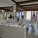 알로안경 북촌점 | 예쁜 디자인, 다양한 상품, 꼼꼼한 검사, 친절 모두 갖춘 <알로 북촌점> 내돈내산 후기