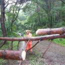 율하 빗물펌프장 이미지