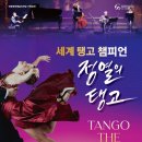 세계 탱고 챔피언 정열의 탱고 이미지
