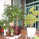 동훈네집 이미지