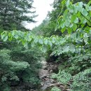 수동고기마트