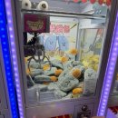 굿모닝작은도서관 | 7일 여자 둘이 12월 대만여행 2,3일차 - 진천미 솔직후기, 디화제, 귀여운 포토부스 추천, 다다오청...