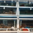 강릉영주횟집 이미지