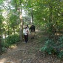 금빛환경 이미지