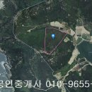 신안군 비금면 내월리 임야30149제곱,매6천7백,전남토지매매,신안토지매매, 이미지