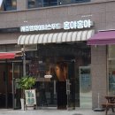 홍야홍야