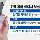 덴트천재