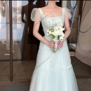 쿨한 강아지 | 2탄 : 웨딩 촬영 소품 알리 직구 후기 (강아지 드레스·웨딩풍선·알리드레스 미리보기)