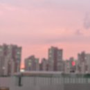 맘스터치 운정다율점 네이버블로그