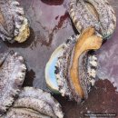 명품수산 이미지