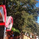 친환경스카이웨이 전망대 이미지