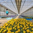 함양군농업기술센터 이미지